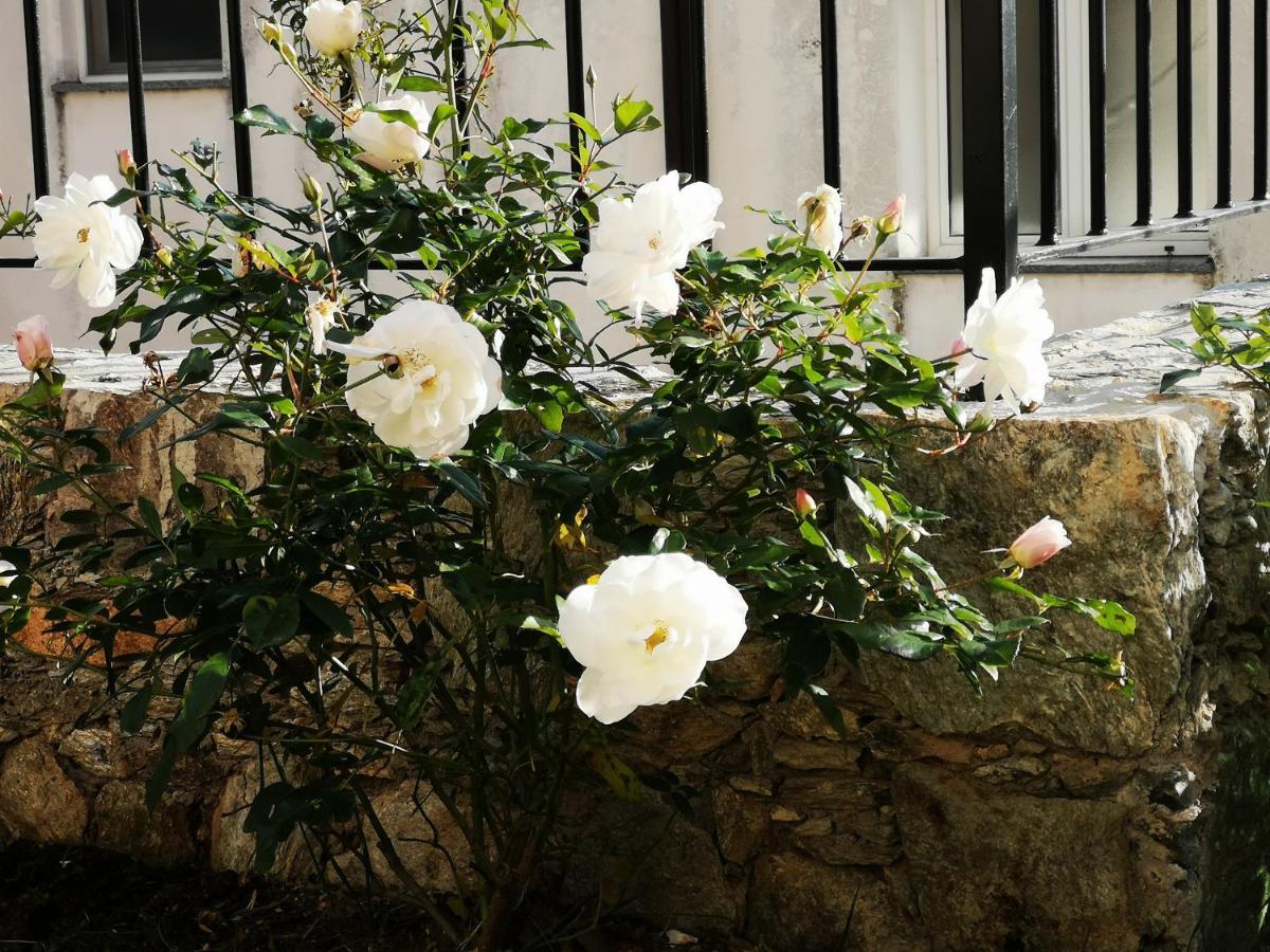 B&B Ca' Du Brigidin Tovo San Giacomo Exterior foto